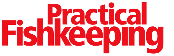 practicalfishkeeping