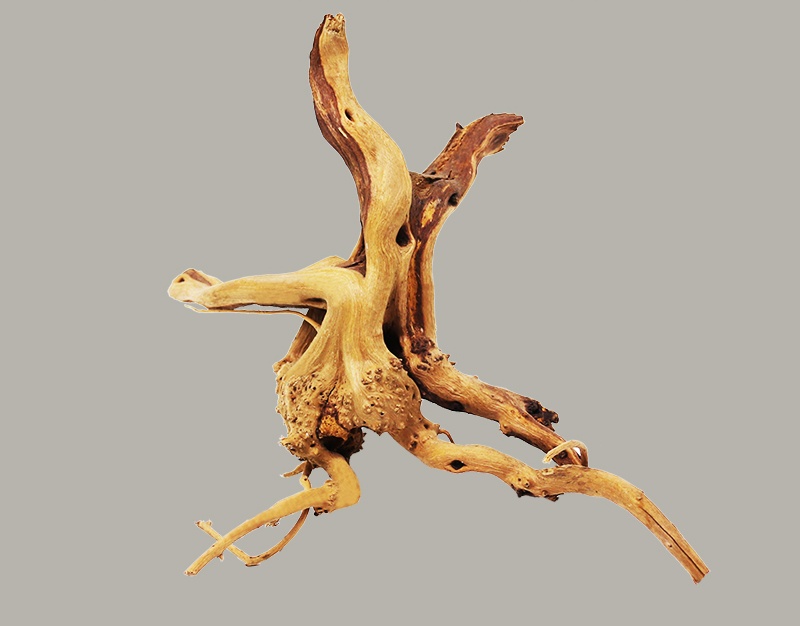 Mini Wood Natural Trunk Driftwood Tree Aquarium Fish Tank Plant Branch Decoration Ornament Landscap Flower Grass Decor - Image 2