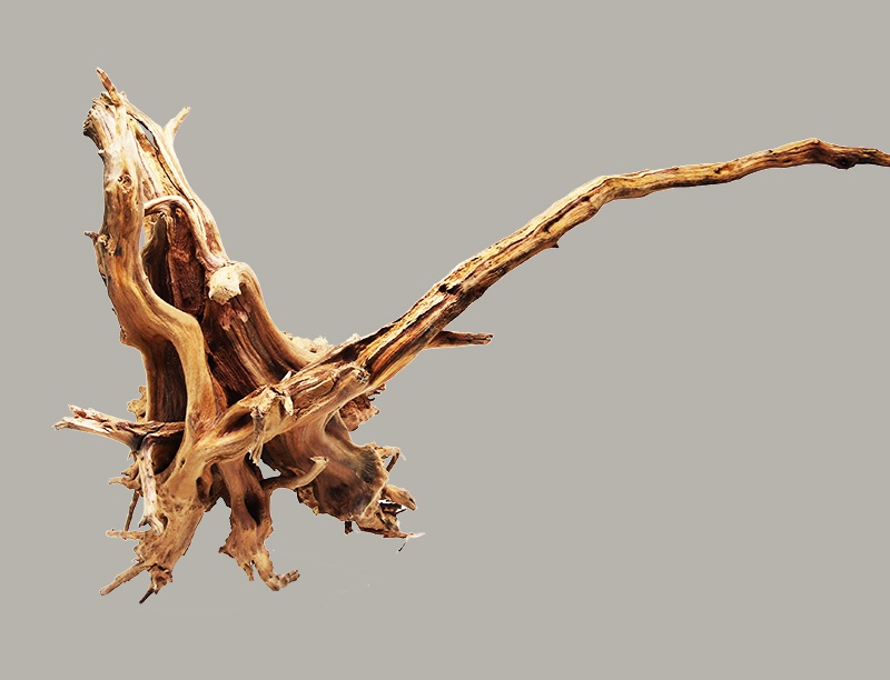 Mini Wood Natural Trunk Driftwood Tree Aquarium Fish Tank Plant Branch Decoration Ornament Landscap Flower Grass Decor - Image 5