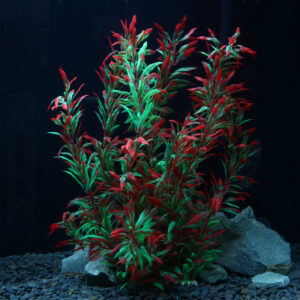 Brilliant Red High Simulation Aquarium Aquatic Plants Fish Tank Landscaping Decorations Pepper Grass Fake Fish Grass