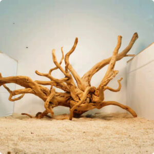 Xiaoqi Root Fish Tank Scenery Decoration Ornaments