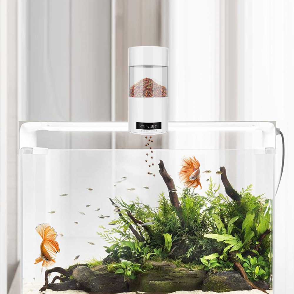 3973213301185-1.jpg - Matthews Aquatic Paradise Ltd | Award-Winning Aquatic Services