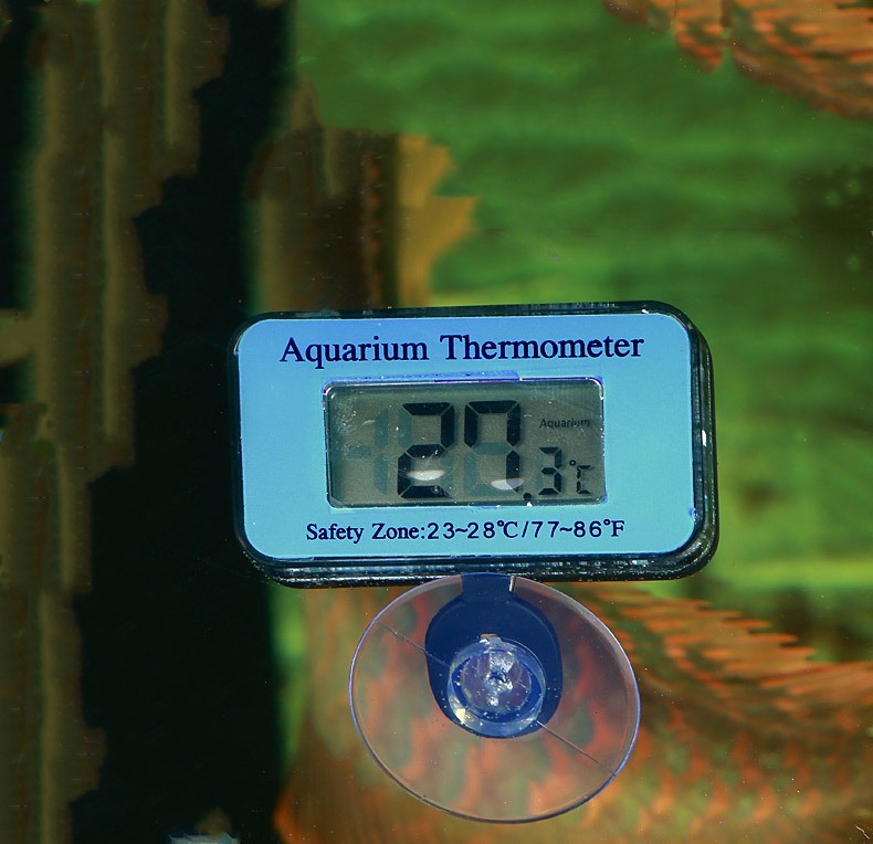 44868cb6-4112-420d-88a5-f5521300e27a-3.jpg - Matthews Aquatic Paradise Ltd | Award-Winning Aquatic Services