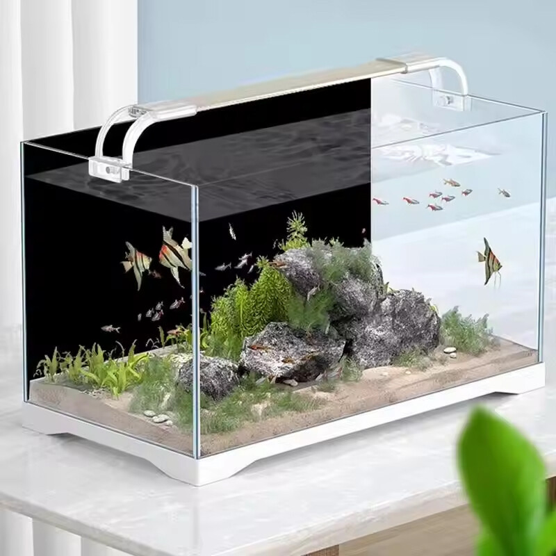 48f201e4-62e4-481b-b418-4133bc2d34bb-1.jpg - Matthews Aquatic Paradise Ltd | Award-Winning Aquatic Services