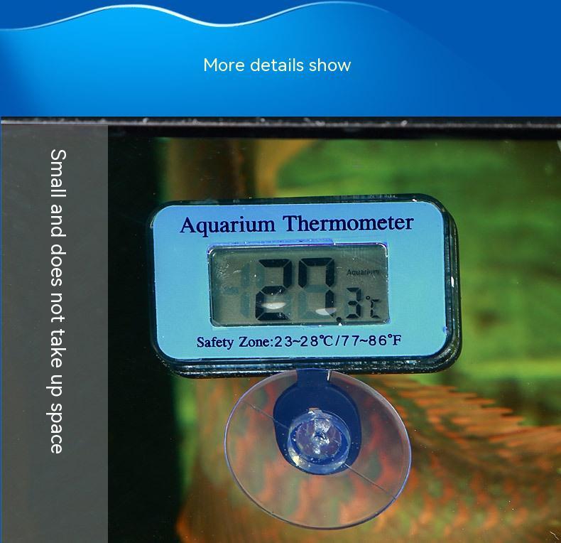 55329024-fcad-4926-8d07-59f31f8b71d4_trans.jpeg - Matthews Aquatic Paradise Ltd | Award-Winning Aquatic Services