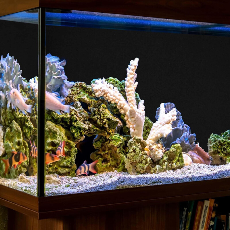 5913eb8c-a321-4237-8f53-5d3f868c8a86-1.jpg - Matthews Aquatic Paradise Ltd | Award-Winning Aquatic Services