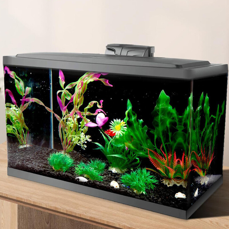 6a496af9-5f74-4d12-a02e-7ecab82bc9ea-2.jpg - Matthews Aquatic Paradise Ltd | Award-Winning Aquatic Services