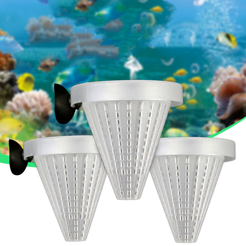7afbf4cf-89ad-4c8a-abfa-652a6c52fc74-1.jpg - Matthews Aquatic Paradise Ltd | Award-Winning Aquatic Services