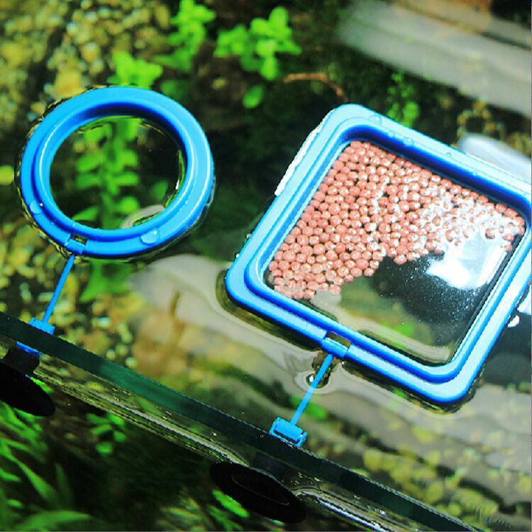 cb2bf8c9-8930-4e56-955f-06c8fc70655e-1.jpg - Matthews Aquatic Paradise Ltd | Award-Winning Aquatic Services