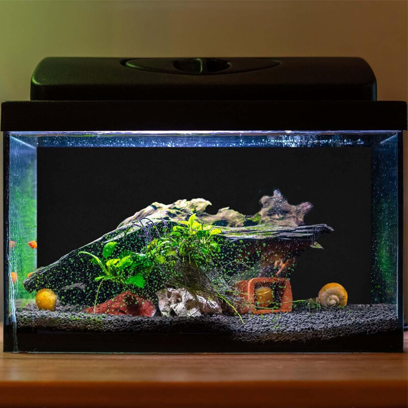 ce5e69e8-d067-488a-99f3-5b8a8956c9f8-1.jpg - Matthews Aquatic Paradise Ltd | Award-Winning Aquatic Services