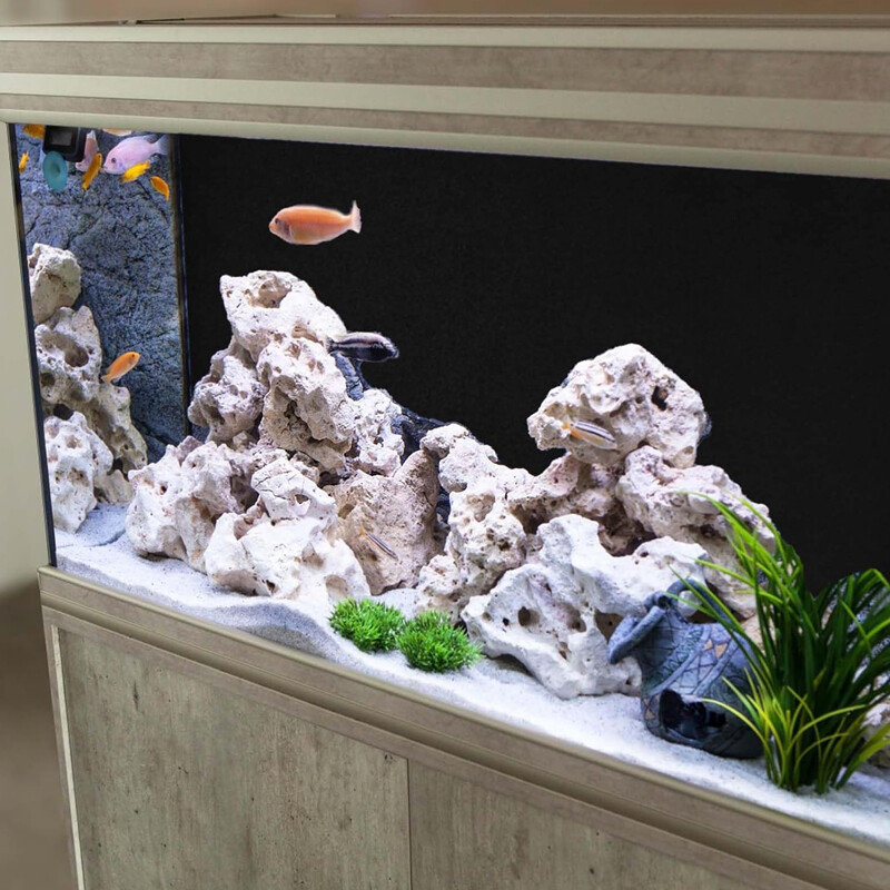 d8496ca6-7a91-42a9-b0da-e538f3e297a8-1.jpg - Matthews Aquatic Paradise Ltd | Award-Winning Aquatic Services