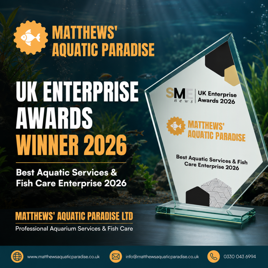 Promotional poster announcing Matthews' Aquatic Paradise winning the UK Enterprise Awards 2026 for Best Aquatic Services & Fish Care Enterprise; features an award plaque and underwater background.