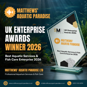 Promotional poster announcing Matthews' Aquatic Paradise winning the UK Enterprise Awards 2026 for Best Aquatic Services & Fish Care Enterprise; features an award plaque and underwater background.