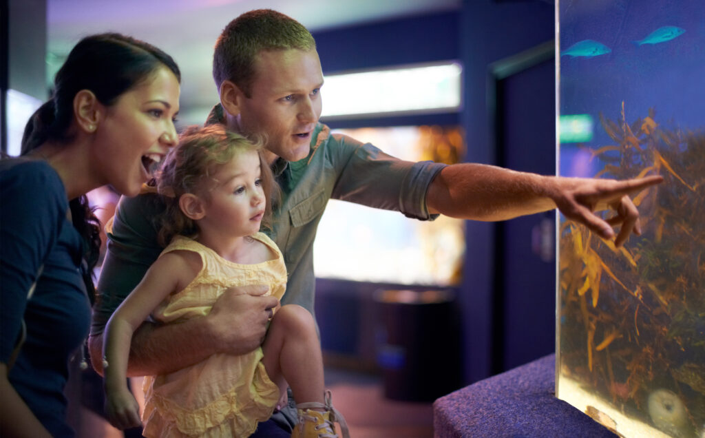 Family of three viewing an aquarium exhibit; dad points at the tank while holding the young girl, mom beside them smiling.
