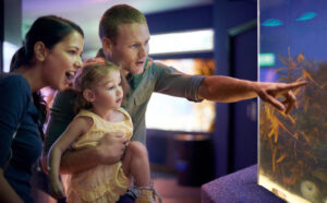Family of three viewing an aquarium exhibit; dad points at the tank while holding the young girl, mom beside them smiling.