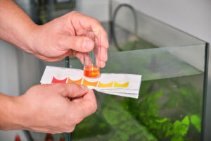 Close-up of a hand holding a small test tube filled with orange liquid, held over a color chart in a lab setting.