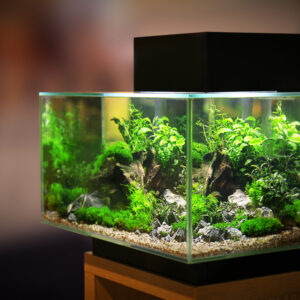 Nano Aquascape — From £150