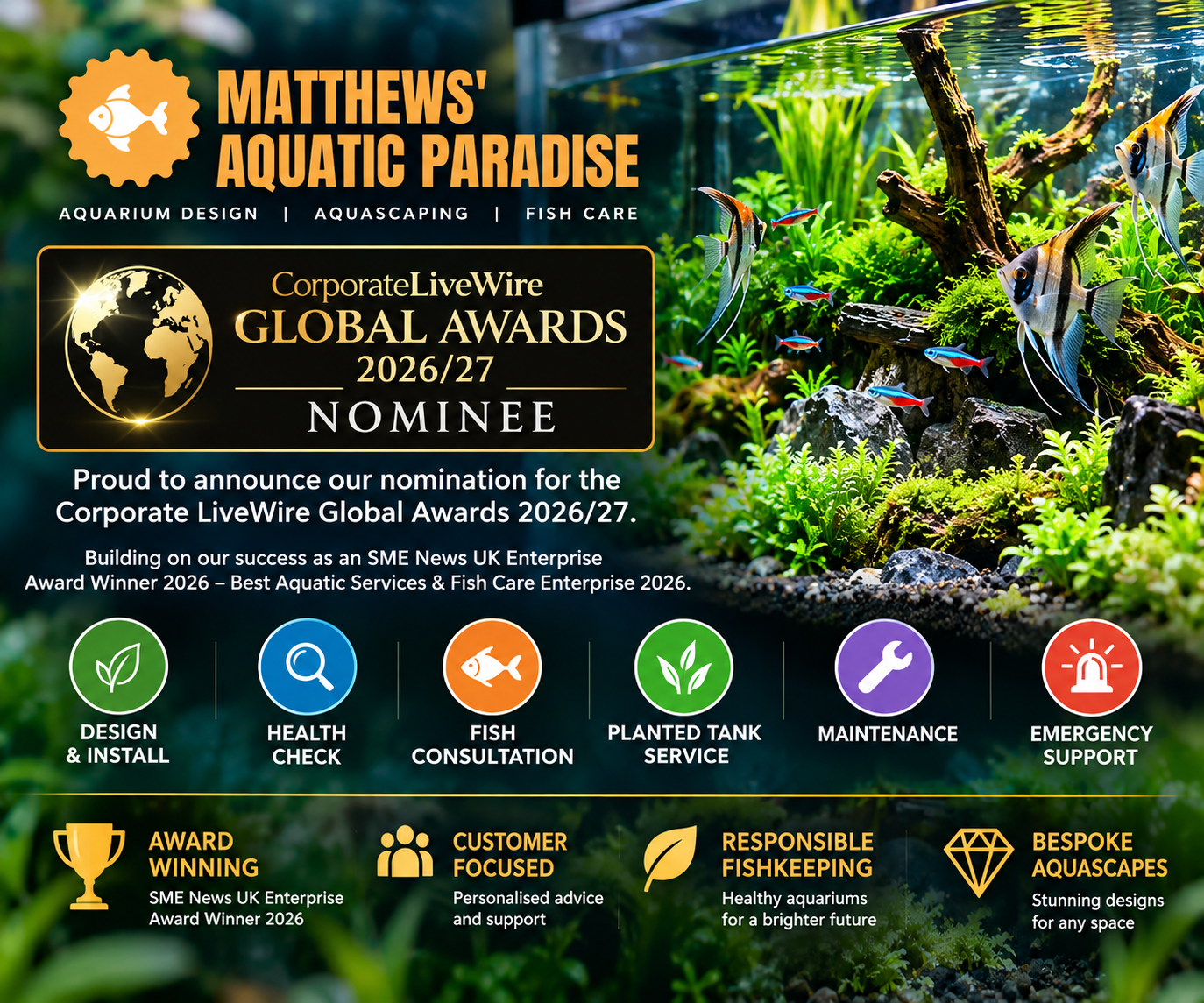 Aquatic Paradise Global Awards Nominee - Matthews Aquatic Paradise Ltd | Award-Winning Aquascapes & Aquariums UK - Matthews Aquatic Paradise Ltd | Award-Winning Aquascapes & Aquariums UK