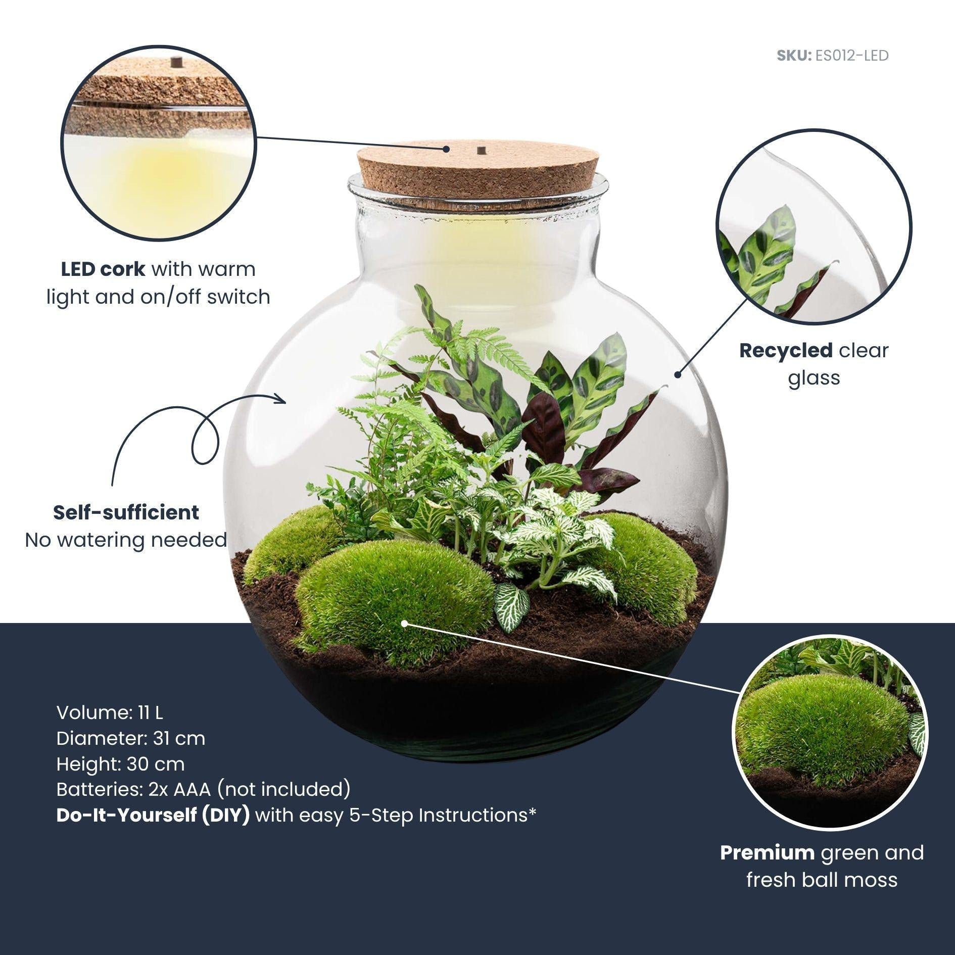DIY-Terrarium_-_Bolder_Bob_-_30_cm_-_Mit_LED-Licht1jpg - Matthews Aquatic Paradise Ltd | Award-Winning Aquascapes & Aquariums UK