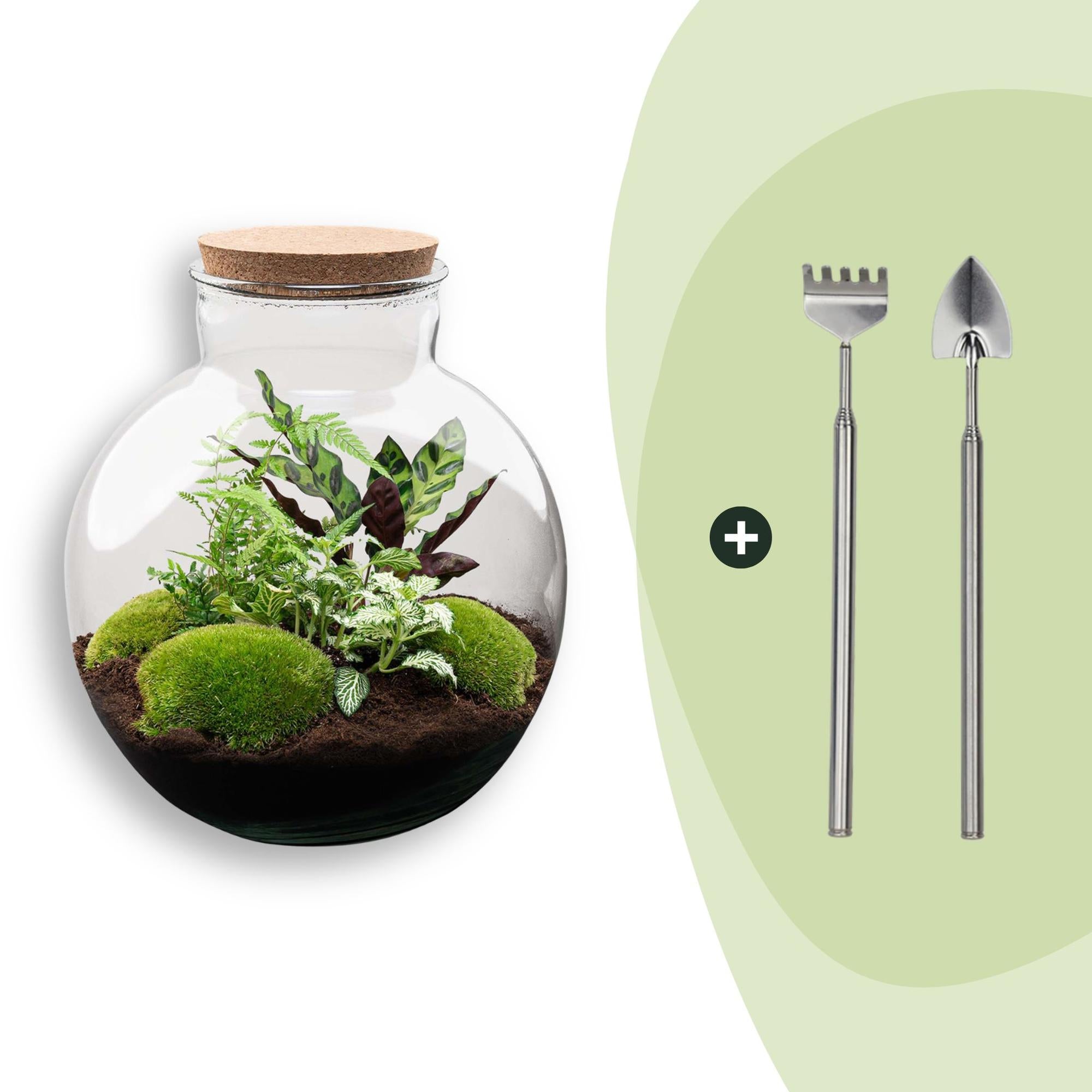 DIY-Terrarium_Bolder_Bob_30_cm_Rechen_Schaufeljpg - Matthews Aquatic Paradise Ltd | Award-Winning Aquascapes & Aquariums UK
