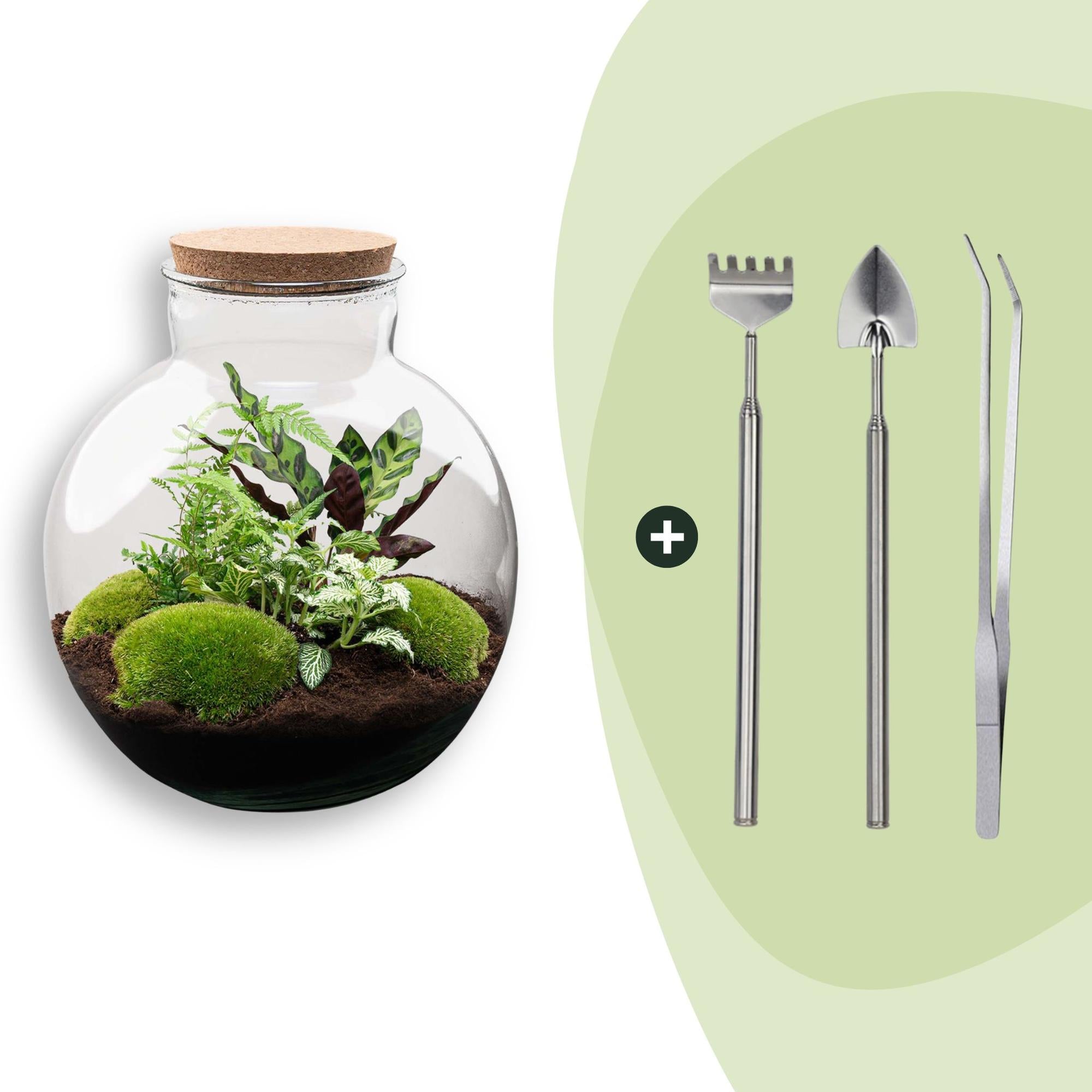DIY-Terrarium_Bolder_Bob_30_cm_Rechen_Schaufel_Pinzettejpg - Matthews Aquatic Paradise Ltd | Award-Winning Aquascapes & Aquariums UK