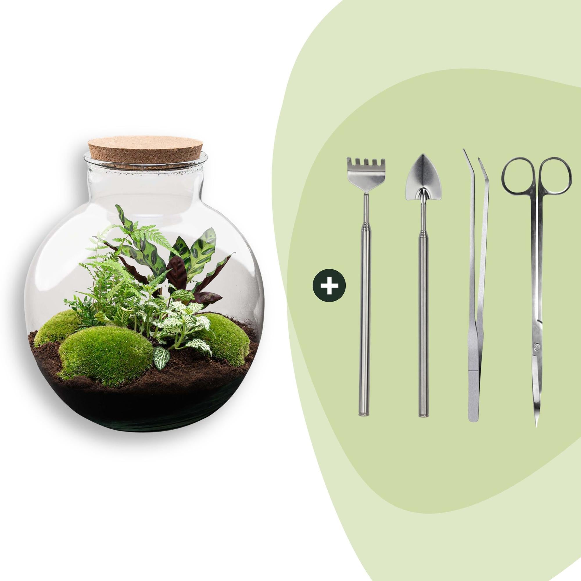 DIY-Terrarium_Bolder_Bob_30_cm_Rechen_Schaufel_Pinzette_Scherejpg - Matthews Aquatic Paradise Ltd | Award-Winning Aquascapes & Aquariums UK