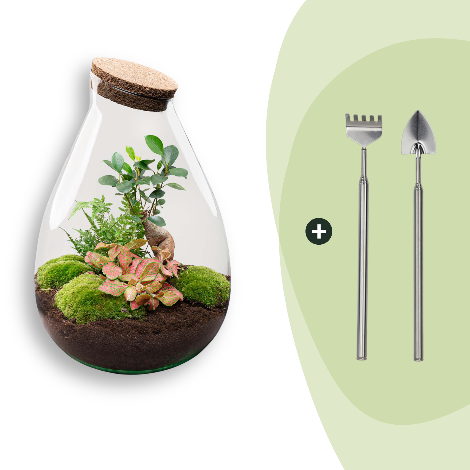DIY-Terrarium_Drop_XL_37_cm_Rechen_Schaufelpng - Matthews Aquatic Paradise Ltd | Award-Winning Aquascapes & Aquariums UK