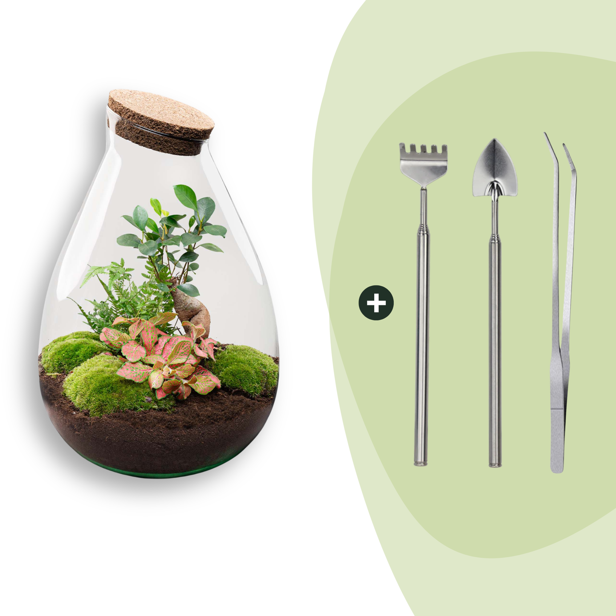 DIY-Terrarium_Drop_XL_37_cm_Rechen_Schaufel_Pinzettepng - Matthews Aquatic Paradise Ltd | Award-Winning Aquascapes & Aquariums UK