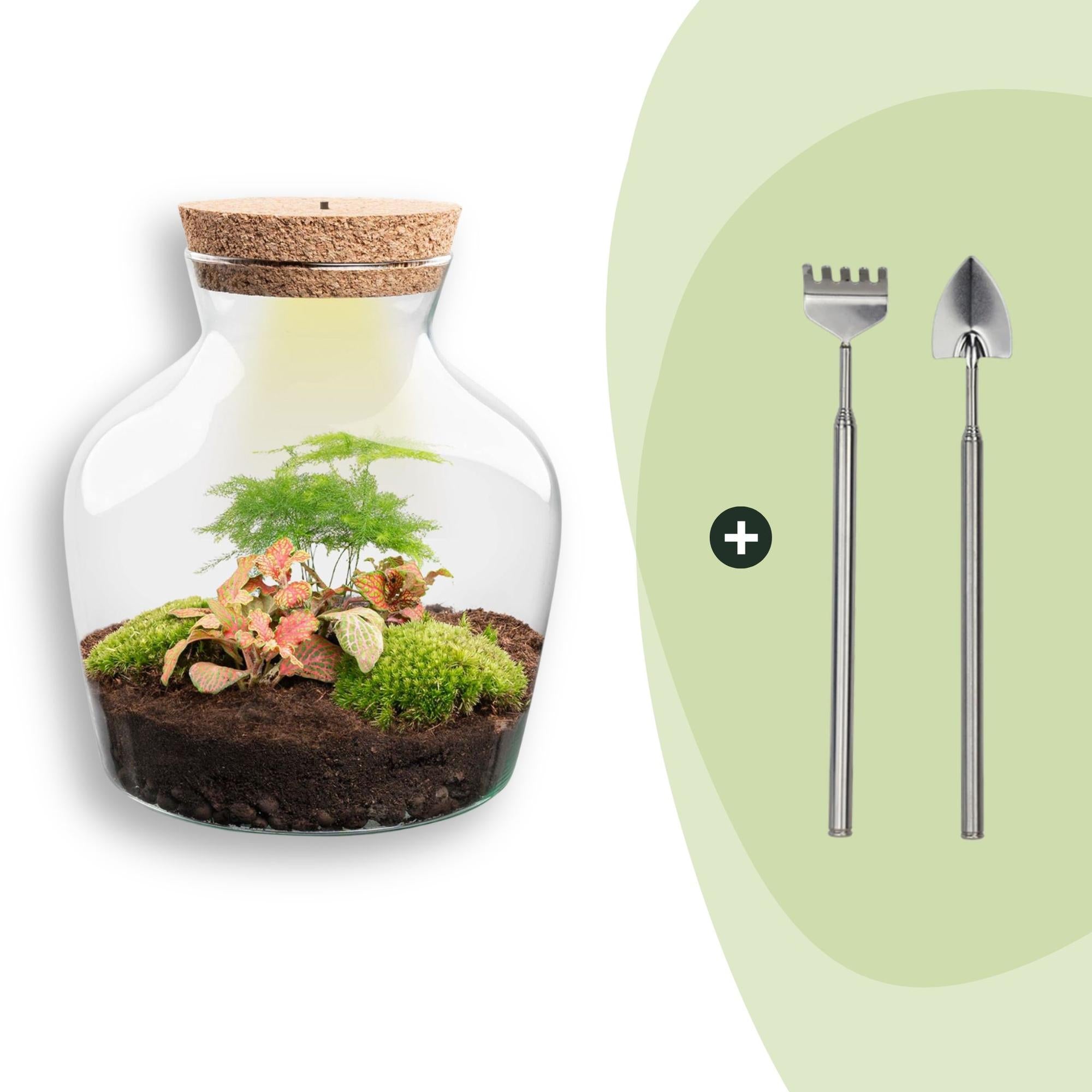 DIY-Terrarium_Little_Joe_21_5_cm_Rechen_Schaufel-1jpg - Matthews Aquatic Paradise Ltd | Award-Winning Aquascapes & Aquariums UK