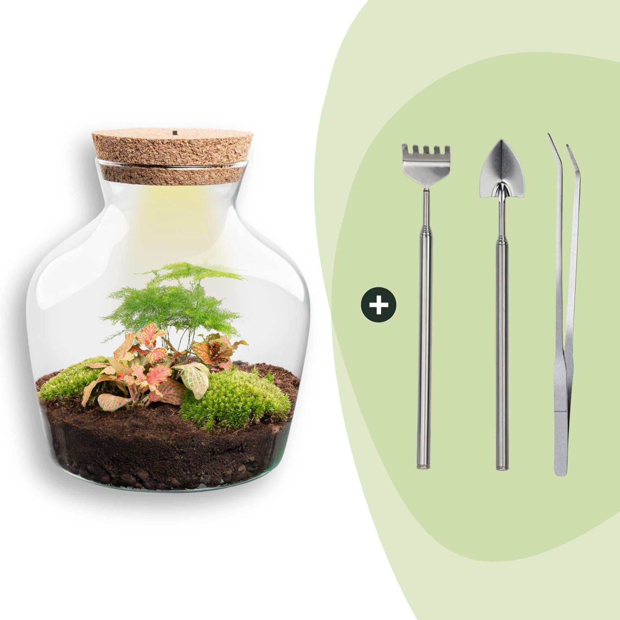 DIY-Terrarium_Little_Joe_21_5_cm_Rechen_Schaufel_Pinzettejpg - Matthews Aquatic Paradise Ltd | Award-Winning Aquascapes & Aquariums UK