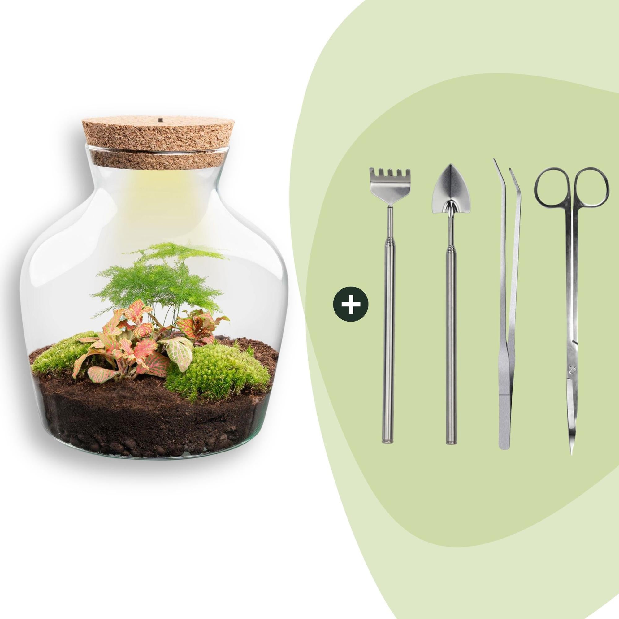 DIY-Terrarium_Little_Joe_21_5_cm_Rechen_Schaufel_Pinzette_Scherejpg - Matthews Aquatic Paradise Ltd | Award-Winning Aquascapes & Aquariums UK