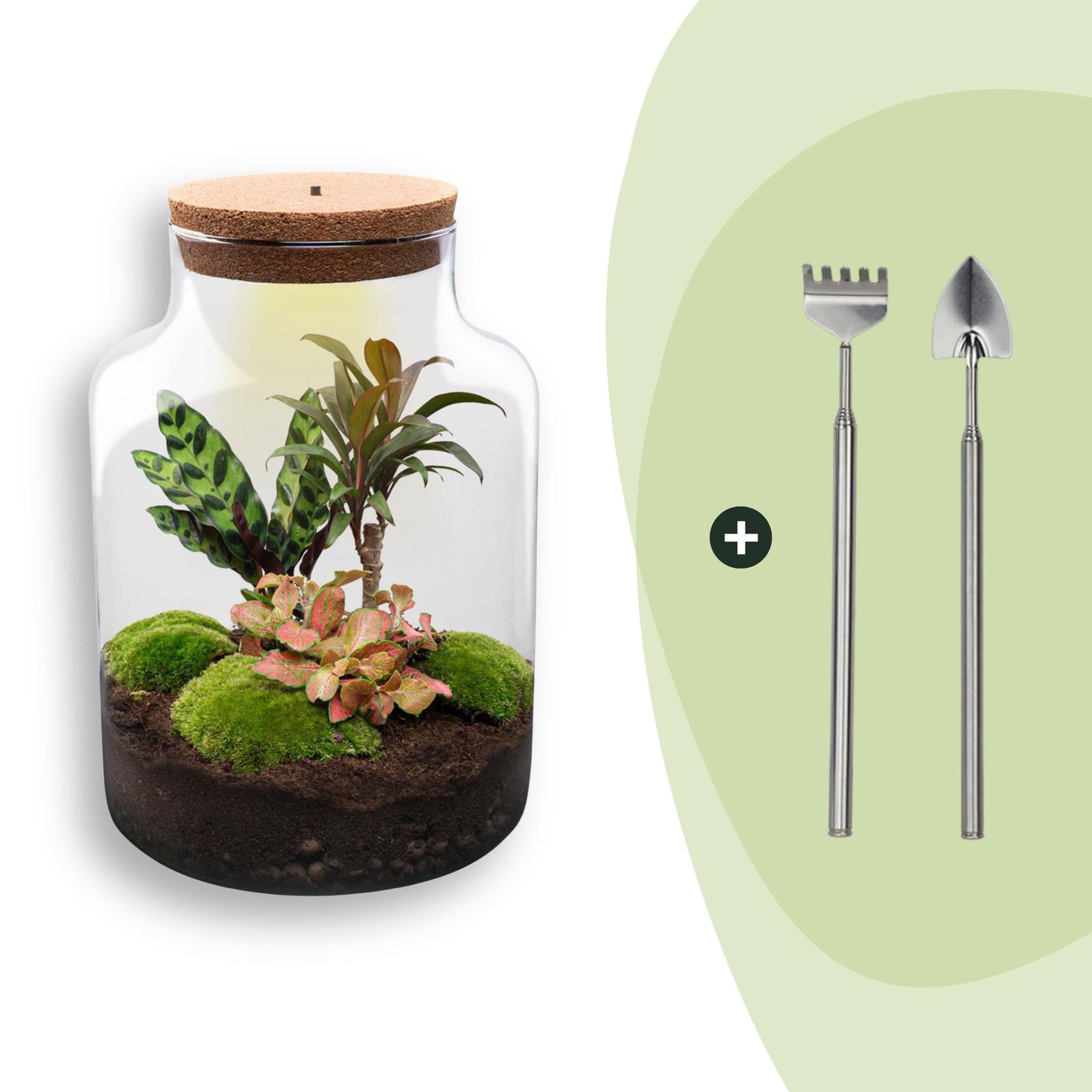 DIY-Terrarium_Milky_30_cm_Rechen_Schaufeljpg - Matthews Aquatic Paradise Ltd | Award-Winning Aquascapes & Aquariums UK