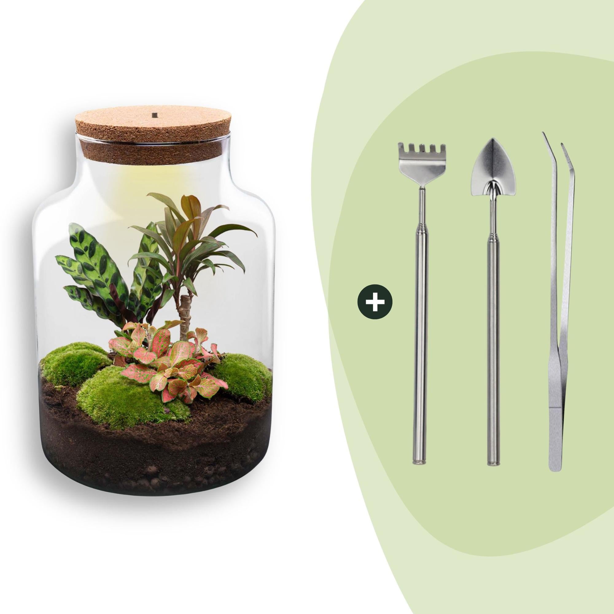 DIY-Terrarium_Milky_30_cm_Rechen_Schaufel_Pinzettejpg - Matthews Aquatic Paradise Ltd | Award-Winning Aquascapes & Aquariums UK