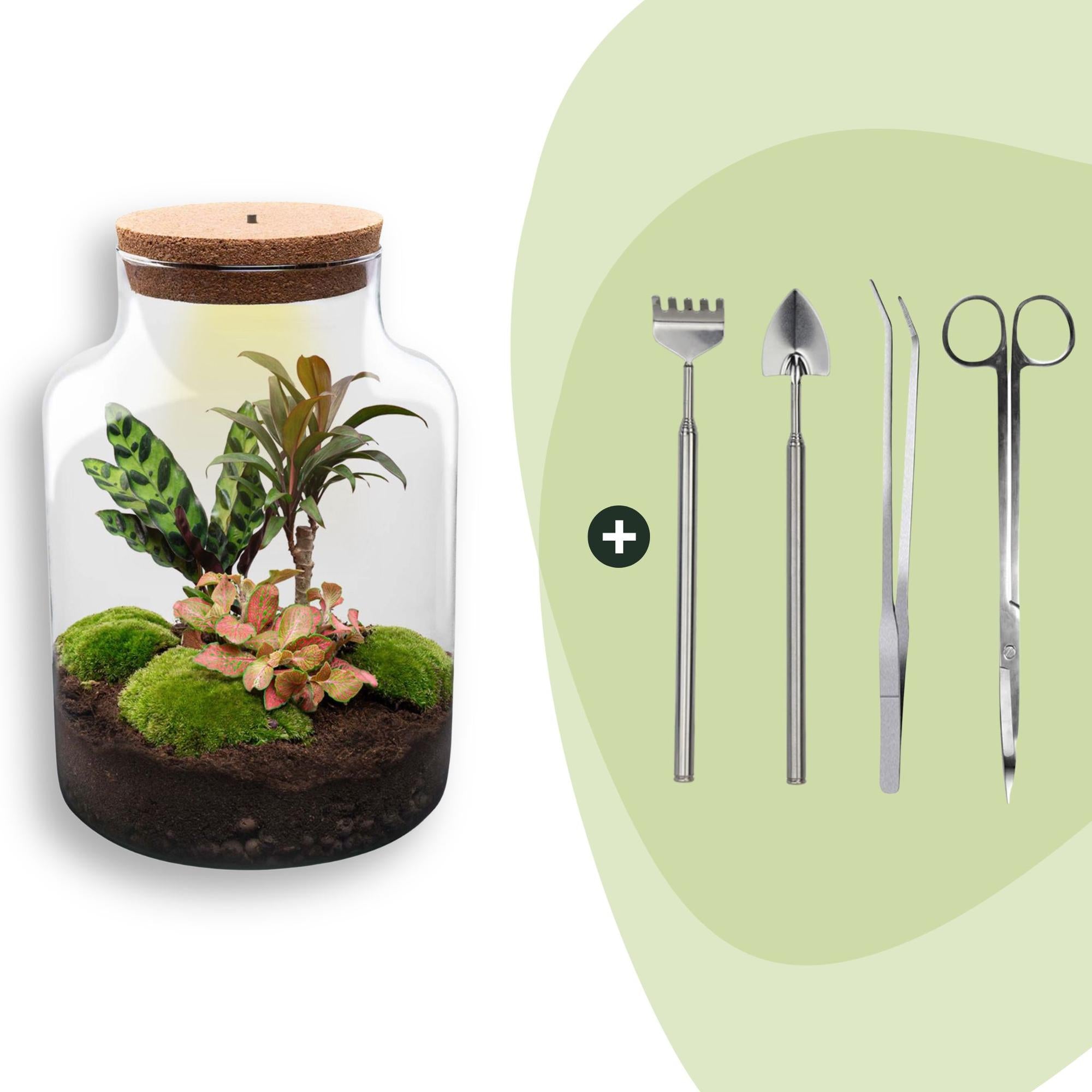 DIY-Terrarium_Milky_30_cm_Rechen_Schaufel_Pinzette_Scherejpg - Matthews Aquatic Paradise Ltd | Award-Winning Aquascapes & Aquariums UK