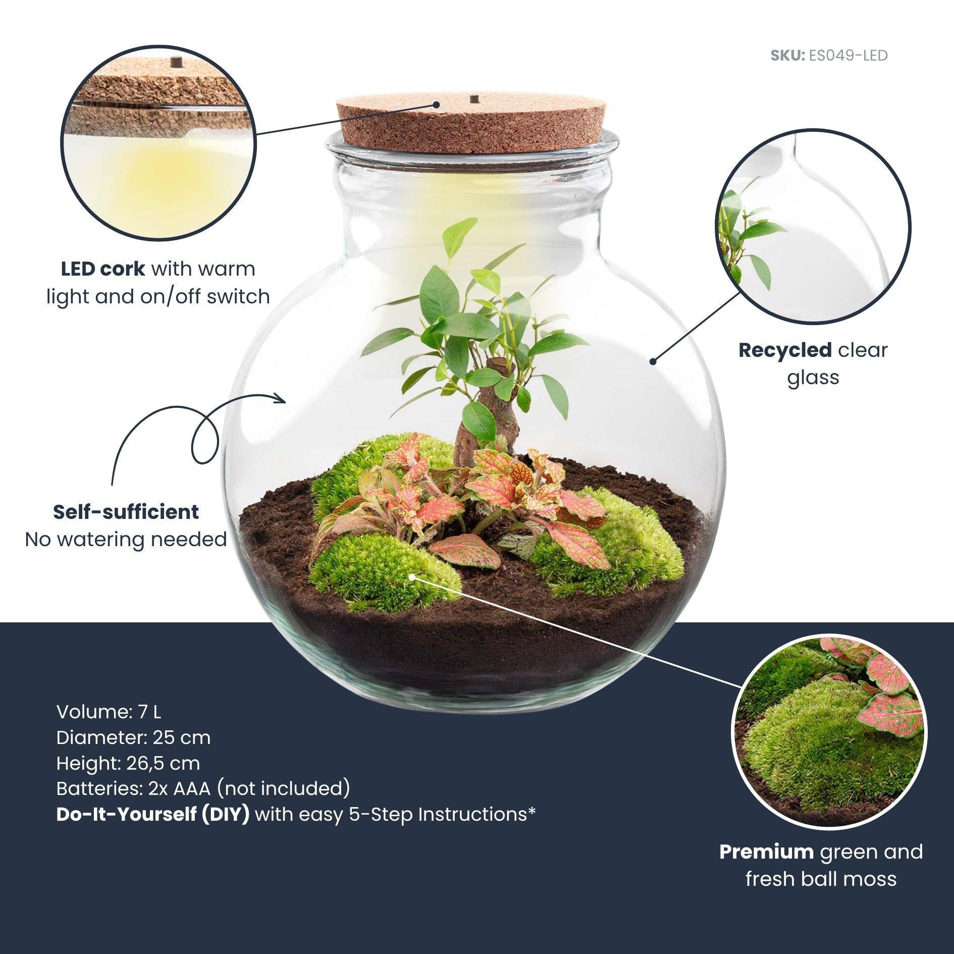 DIY-Terrarium_Teddy-Bonsai_26_5_cm_Mit_LED-Korken2jpg - Matthews Aquatic Paradise Ltd | Award-Winning Aquascapes & Aquariums UK