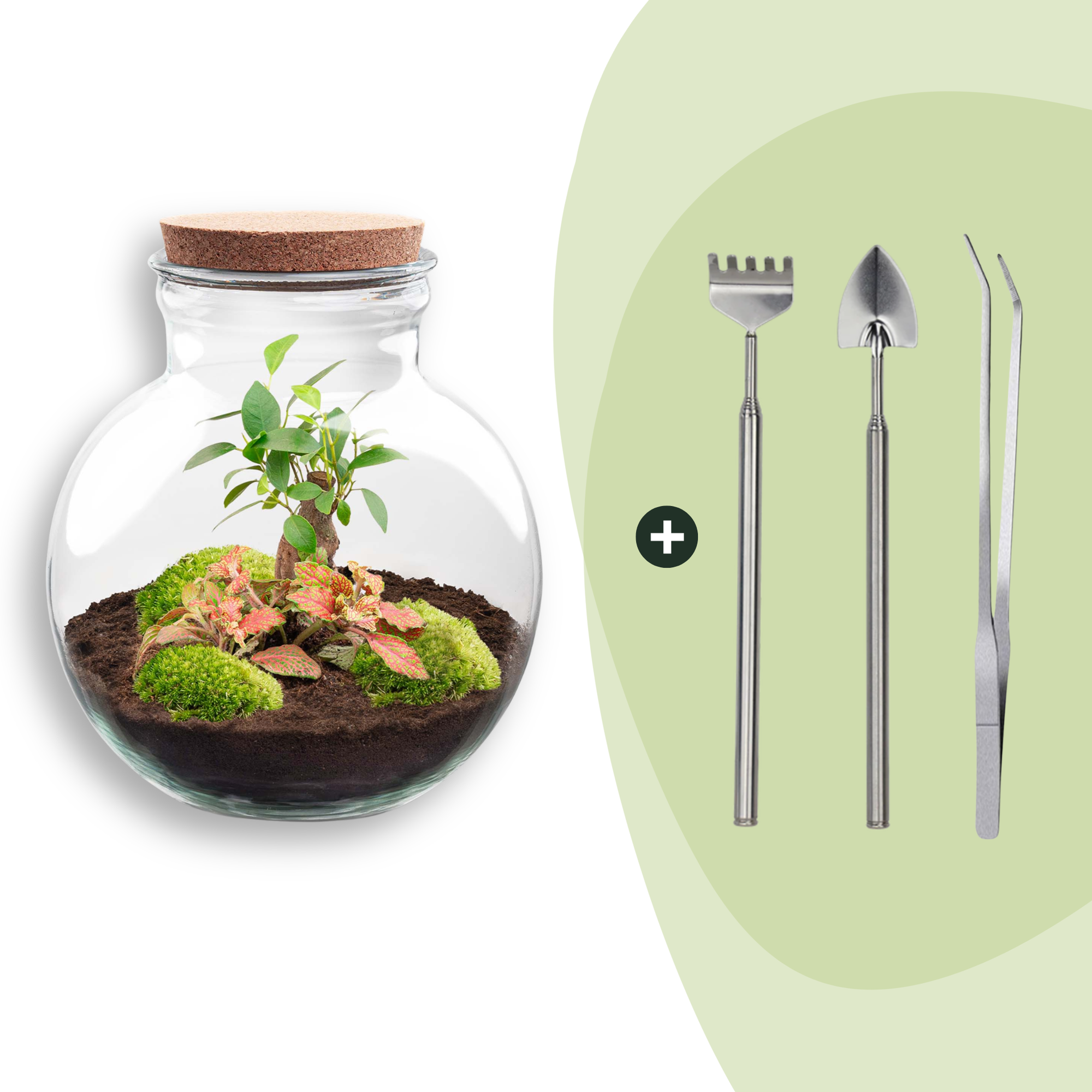 DIY-Terrarium_Teddy-Bonsai_26_5_cm_Rechen_Schaufel_Pinzettepng - Matthews Aquatic Paradise Ltd | Award-Winning Aquascapes & Aquariums UK