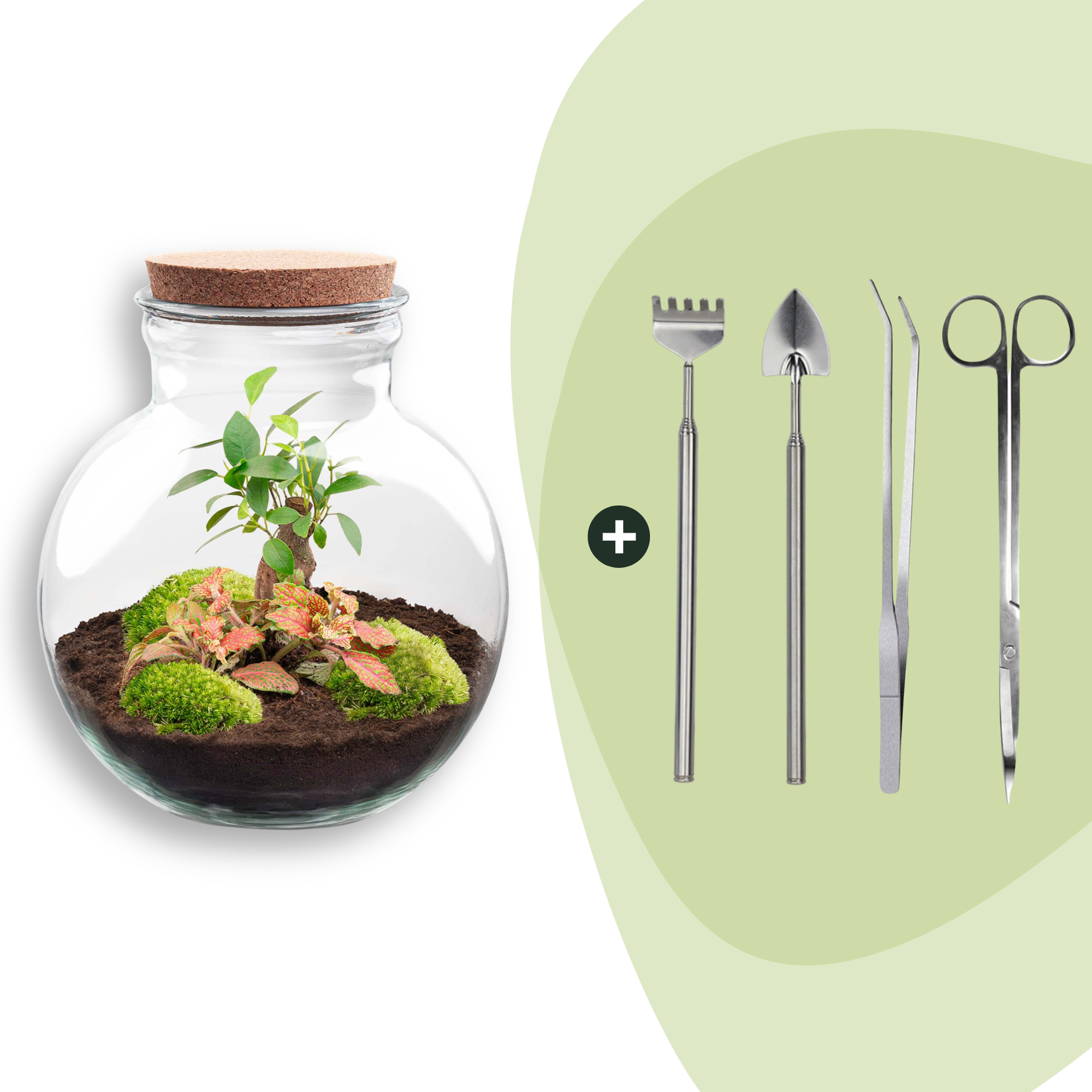 DIY-Terrarium_Teddy-Bonsai_26_5_cm_Rechen_Schaufel_Pinzette_Scherepng - Matthews Aquatic Paradise Ltd | Award-Winning Aquascapes & Aquariums UK