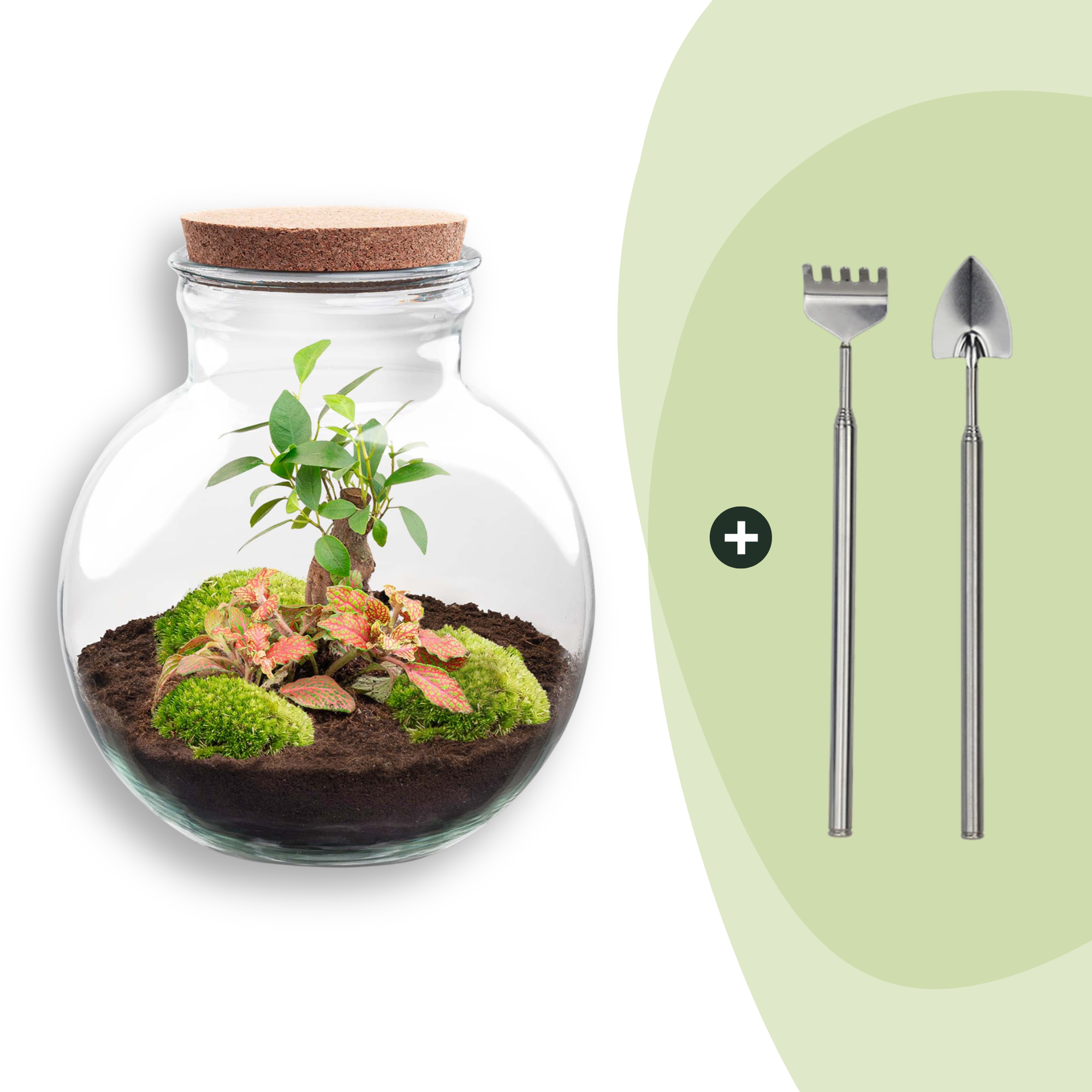 DIY-Terrarium_Teddy-Bonsai_26_5_cm_Rechen_Schaufel_e3a198ce-d391-434a-8aab-0a65e081656dpng - Matthews Aquatic Paradise Ltd | Award-Winning Aquascapes & Aquariums UK