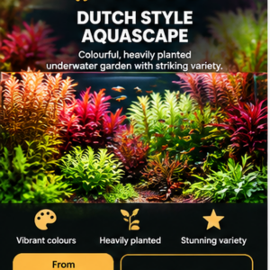 Dutch Style Aquascape — From £400