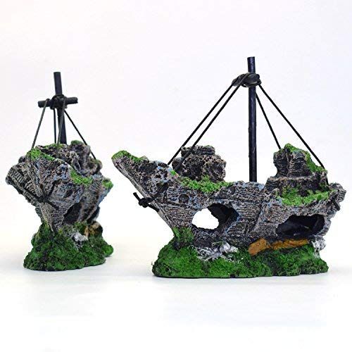 V1366-AZ2-W-04666-02jpg - Matthews Aquatic Paradise Ltd | Award-Winning Aquascapes & Aquariums UK