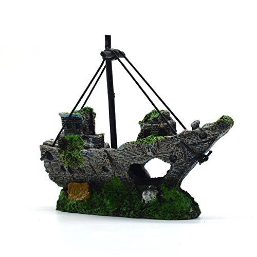 V1366-AZ2-W-04666-04jpg - Matthews Aquatic Paradise Ltd | Award-Winning Aquascapes & Aquariums UK