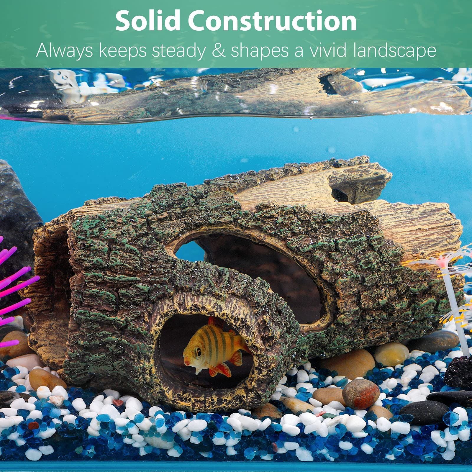 V1370-AZ4-04592-01jpg - Matthews Aquatic Paradise Ltd | Award-Winning Aquascapes & Aquariums UK