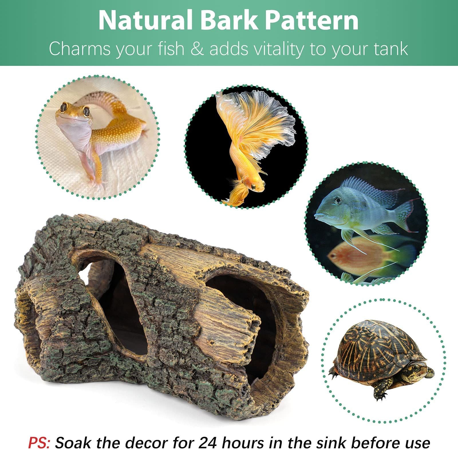 V1370-AZ4-04592-04jpg - Matthews Aquatic Paradise Ltd | Award-Winning Aquascapes & Aquariums UK