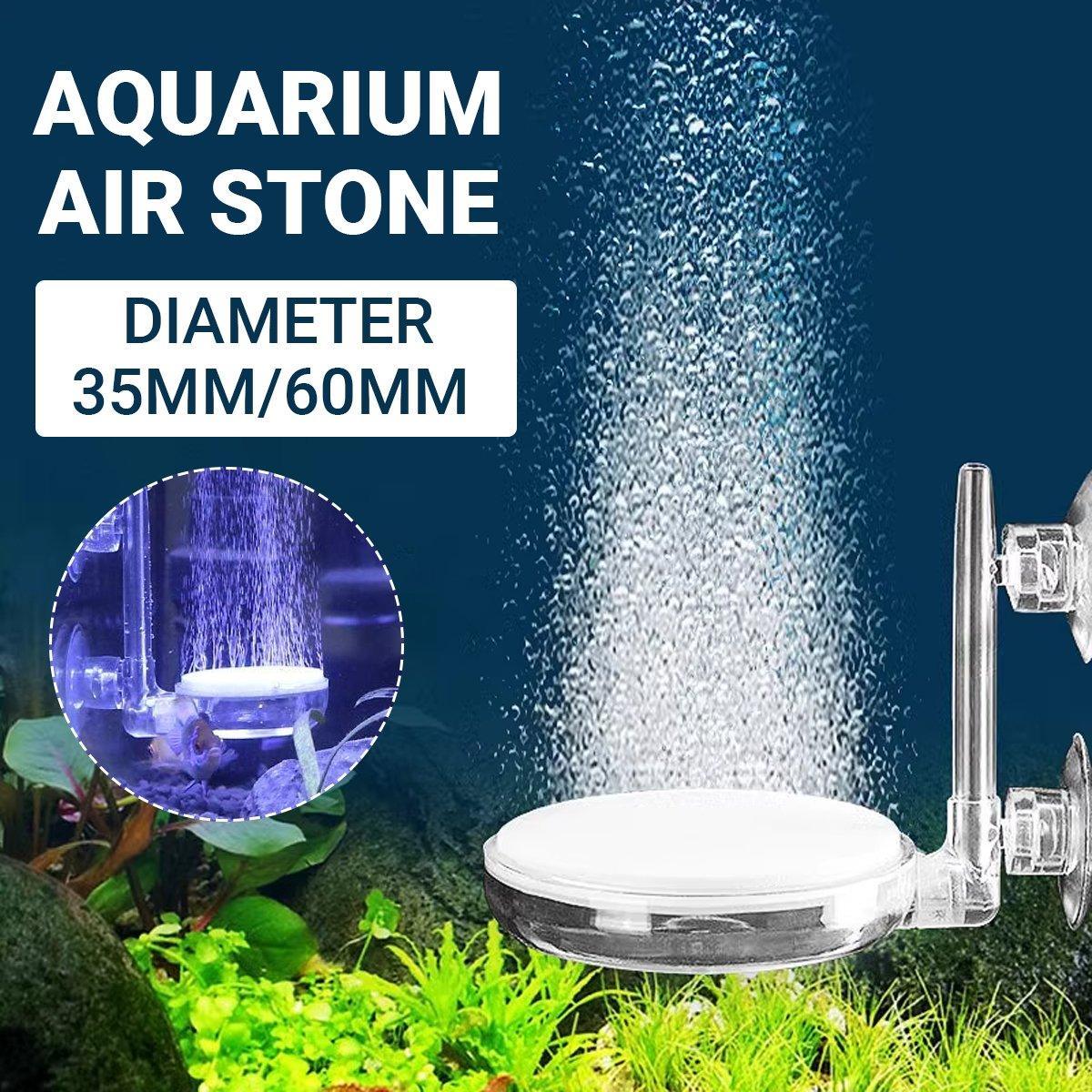 V528-GAS-DISK-Y35-248976-202509302218-00jpg - Matthews Aquatic Paradise Ltd | Award-Winning Aquascapes & Aquariums UK