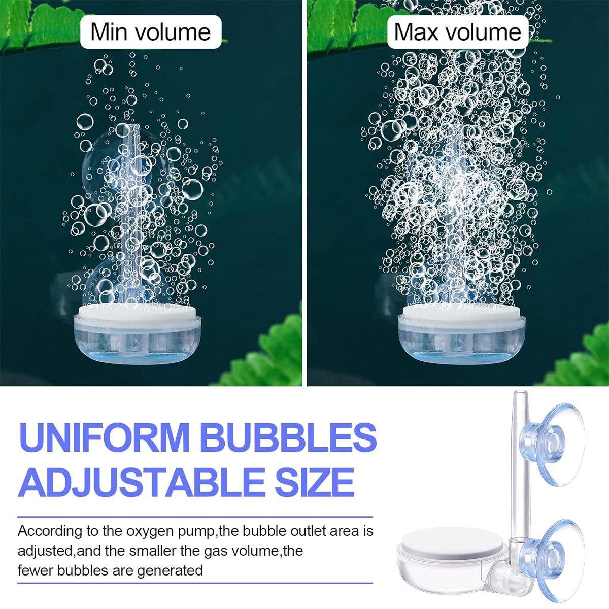 V528-GAS-DISK-Y35-248976-202509302218-03jpg - Matthews Aquatic Paradise Ltd | Award-Winning Aquascapes & Aquariums UK