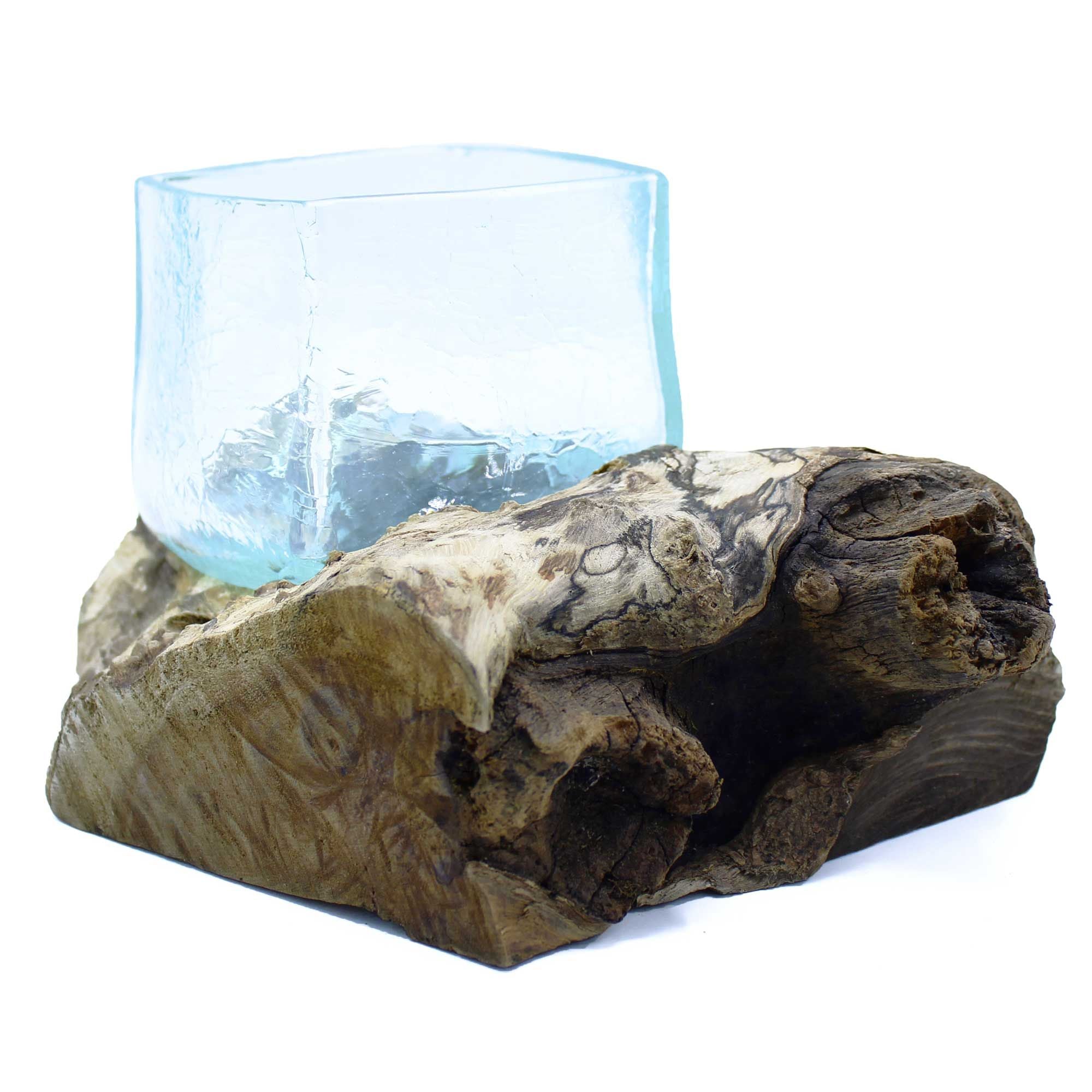 bG9jYWw6Ly9tZWRpYS9IRy8yRC82MFIzMEMxRzZXUjMyREhHL2FkMzk5MzI0LmpwZWcjpg - Matthews Aquatic Paradise Ltd | Award-Winning Aquascapes & Aquariums UK