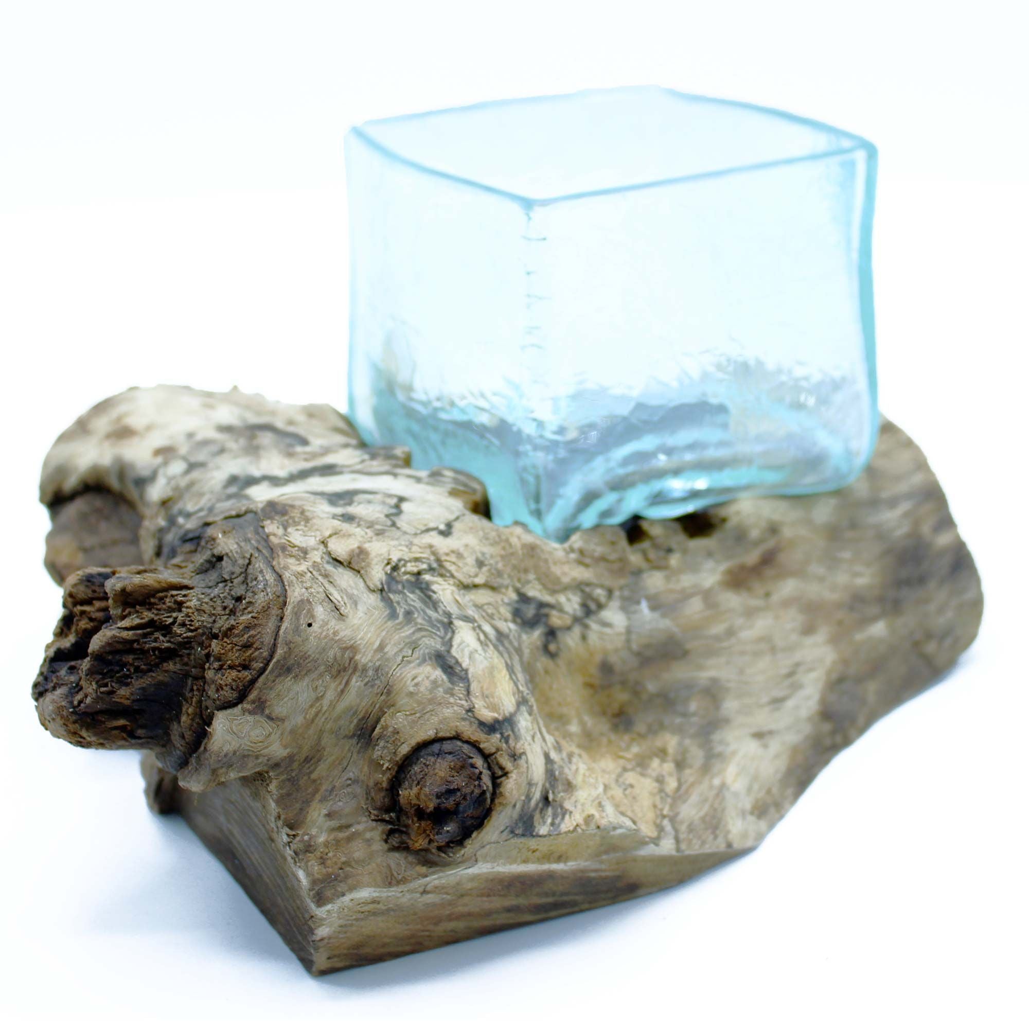 bG9jYWw6Ly9tZWRpYS9ISC8yRC82MFIzMEMxRzZXUjMyREhILzdlMjk2MzAzLmpwZWcjpg - Matthews Aquatic Paradise Ltd | Award-Winning Aquascapes & Aquariums UK