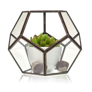 Glass Terrarium - Large Octagon
