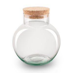Terrarium Flasche – Geschlossene Glasflasche mit Korken – Höhe 20cm Ø18,5cm – Pflanzenterrarium aus Recyclingglas – Dekoratives Mini